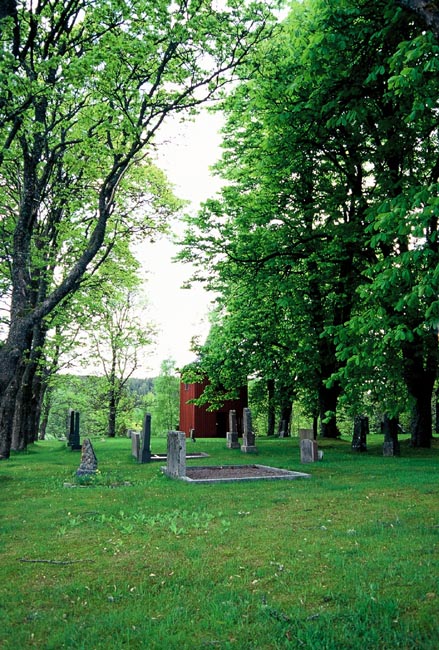 Kyrkogården mot norr.