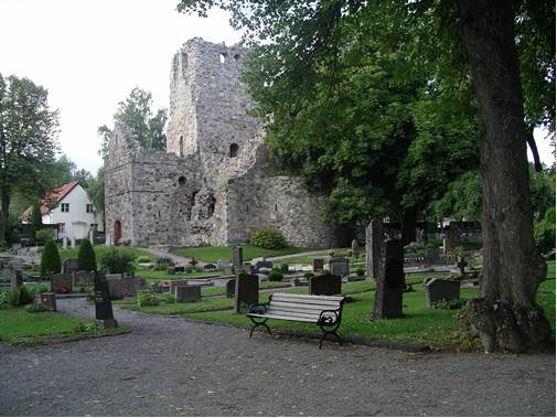 S:t Olofs kyrkoruin belägen på kyrkogården vid Olofsgatan. På den syd-västra delen 
av kyrkogården märks fler äldre kulturhistoriskt värdefulla gravvårdar