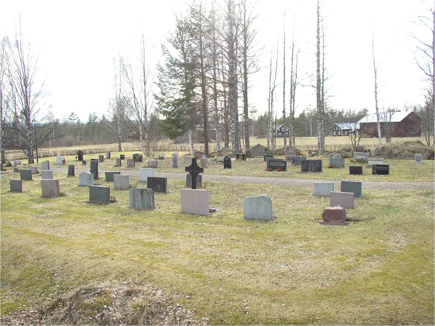 Den äldre delen av begravningsplatsen från nordost. 